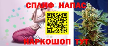 дмт Гагарин