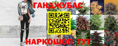 винт Гай