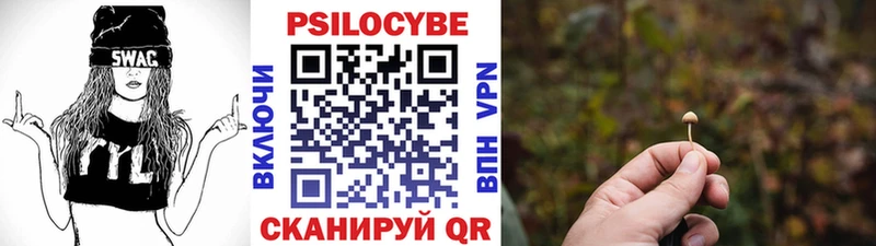 кракен зеркало  Киров  Галлюциногенные грибы Cubensis 