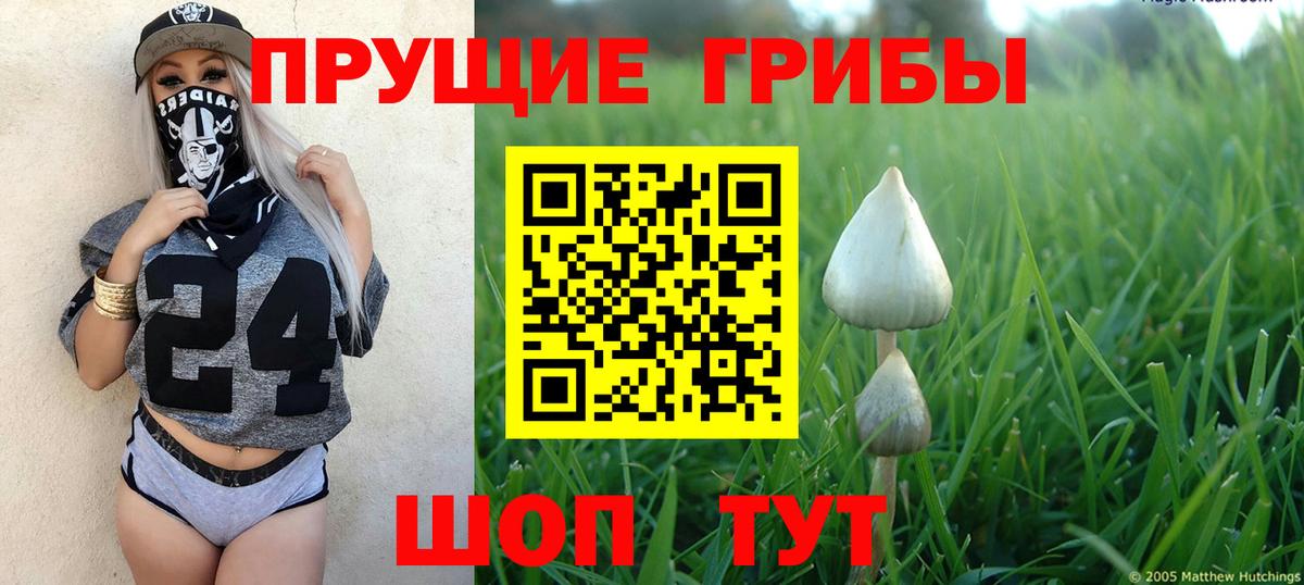 Галлюциногенные грибы GOLDEN TEACHER  Вход с VPN  Псилоцибиновые грибы Psilocybine cubensis  магазин продажи   Киров 